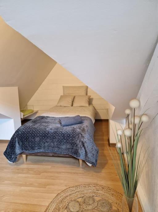 Le Petit Loft, Mulhouse Centre Exterior foto